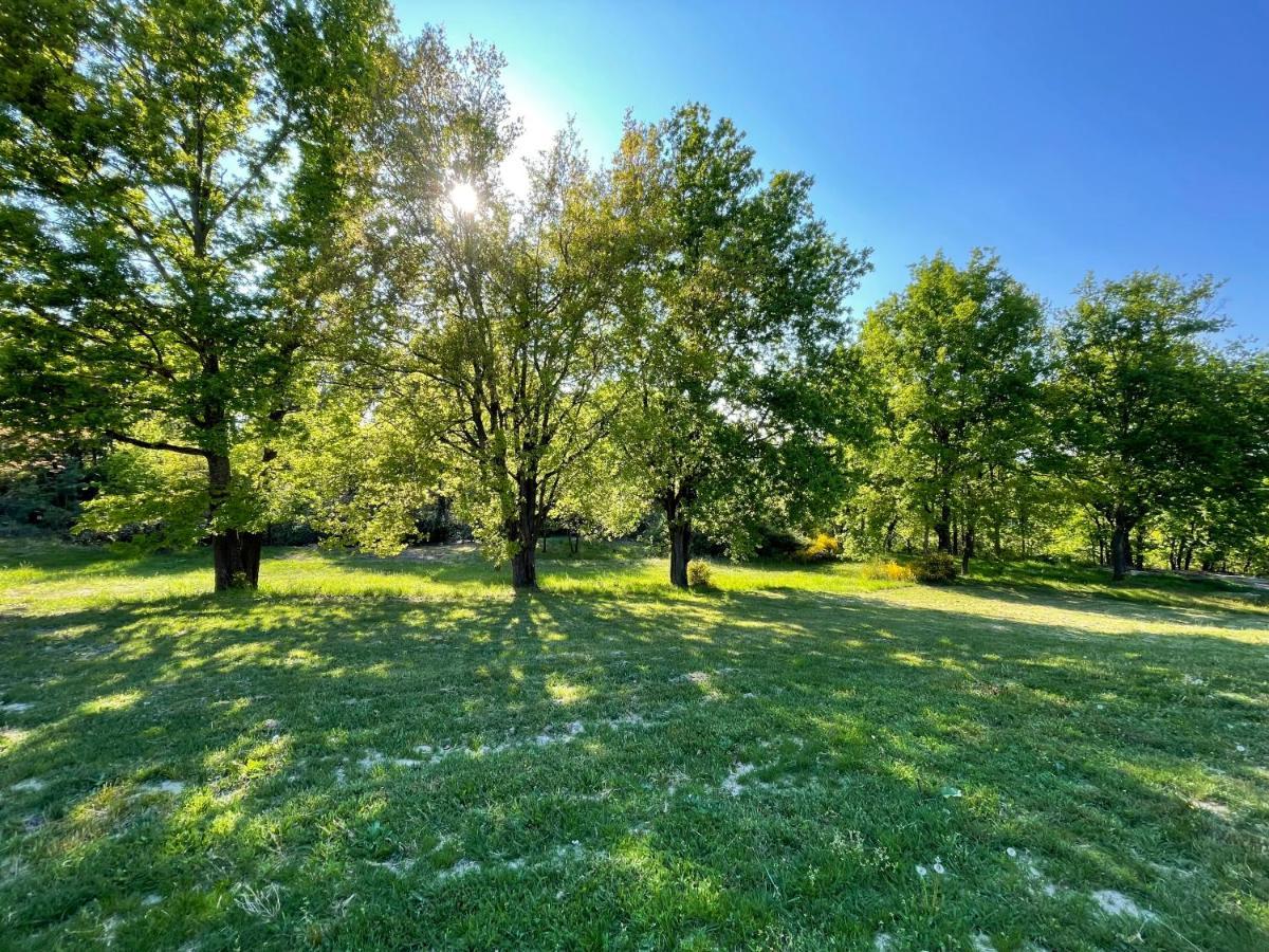 La Villa Perroquet Poncins Εξωτερικό φωτογραφία